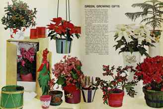 Better Homes & Gardens December 1967 Magazine Article: Page 44