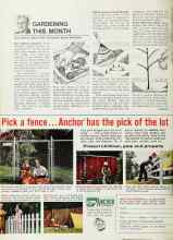Better Homes & Gardens March 1968 Magazine Article: GARDENING THIS MONTH
