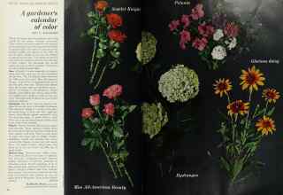 Better Homes & Gardens March 1968 Magazine Article: A gardener's calendar of color