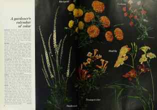 Better Homes & Gardens March 1968 Magazine Article: Page 70