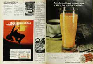 Better Homes & Gardens March 1968 Magazine Article: Page 98