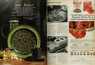 Better Homes & Gardens March 1968 Magazine Article: Page 102