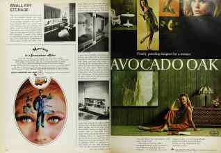 Better Homes & Gardens March 1968 Magazine Article: Page 150
