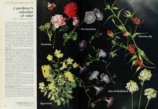 Better Homes & Gardens April 1968 Magazine Article: A gardener's calendar of color