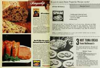 Better Homes & Gardens April 1968 Magazine Article: Page 114