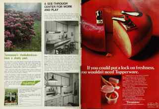 Better Homes & Gardens April 1968 Magazine Article: Page 134