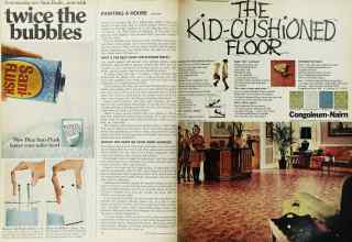 Better Homes & Gardens May 1968 Magazine Article: Page 14
