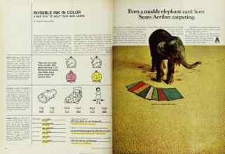 Better Homes & Gardens May 1968 Magazine Article: Page 20