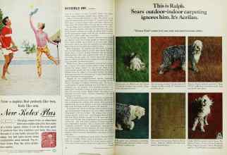 Better Homes & Gardens May 1968 Magazine Article: Page 22