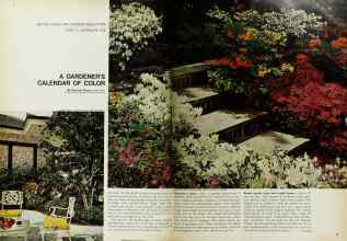 Better Homes & Gardens May 1968 Magazine Article: A GARDENER'S CALENDAR OF COLOR