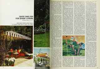 Better Homes & Gardens June 1968 Magazine Article: Page 60