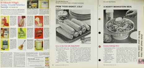 Better Homes & Gardens June 1968 Magazine Article: Page 100