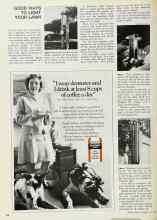 Better Homes & Gardens July 1968 Magazine Article: GOOD WAYS TO LIGHT YOUR LAWN