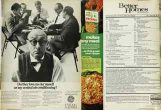 Better Homes & Gardens July 1968 Magazine Article: Page 3