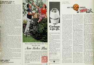 Better Homes & Gardens July 1968 Magazine Article: Page 19