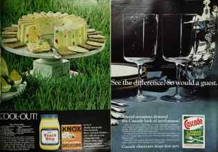 Better Homes & Gardens July 1968 Magazine Article: Page 23