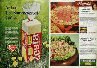 Better Homes & Gardens July 1968 Magazine Article: Page 83