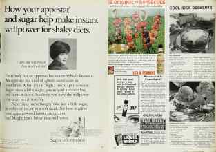 Better Homes & Gardens July 1968 Magazine Article: Page 91