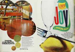 Better Homes & Gardens July 1968 Magazine Article: Page 119