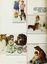 Better Homes & Gardens August 1968 Magazine Article: JUST WHAT ARE THE BEST DOGS FOR KIDS?