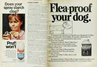 Better Homes & Gardens August 1968 Magazine Article: Page 10