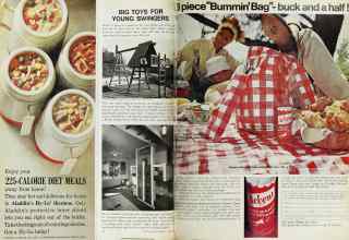 Better Homes & Gardens August 1968 Magazine Article: Page 32