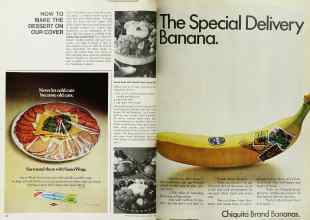 Better Homes & Gardens August 1968 Magazine Article: Page 80