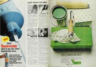 Better Homes & Gardens October 1968 Magazine Article: Page 42