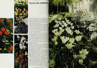 Better Homes & Gardens October 1968 Magazine Article: Page 62