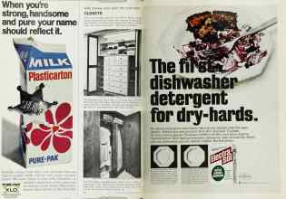 Better Homes & Gardens October 1968 Magazine Article: Page 110