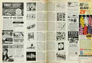 Better Homes & Gardens January 1969 Magazine Article: Page 102