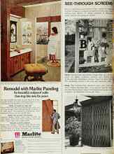 Better Homes & Gardens February 1969 Magazine Article: SEE-THROUGH SCREENS