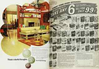 Better Homes & Gardens February 1969 Magazine Article: Page 2