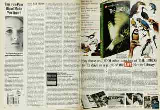 Better Homes & Gardens February 1969 Magazine Article: Page 16