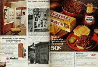 Better Homes & Gardens February 1969 Magazine Article: Page 20
