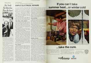 Better Homes & Gardens February 1969 Magazine Article: Page 46