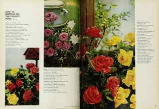 Better Homes & Gardens February 1969 Magazine Article: Page 64