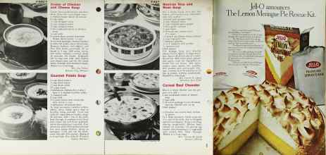 Better Homes & Gardens February 1969 Magazine Article: Page 100