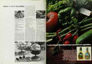 Better Homes & Gardens February 1969 Magazine Article: Page 102