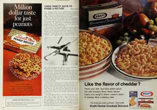 Better Homes & Gardens February 1969 Magazine Article: Page 108