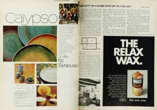 Better Homes & Gardens February 1969 Magazine Article: Page 110