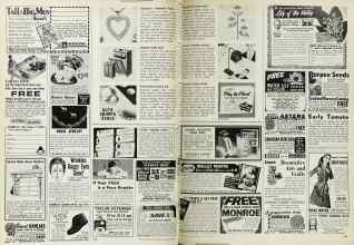 Better Homes & Gardens February 1969 Magazine Article: Page 148