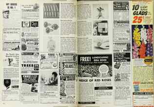 Better Homes & Gardens February 1969 Magazine Article: Page 150