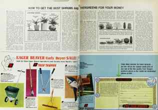Better Homes & Gardens March 1969 Magazine Article: HOW TO GET THE BEST SHRUBS AND... EVERGREENS FOR YOUR MONEY
