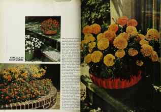 Better Homes & Gardens March 1969 Magazine Article: Page 76