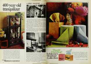 Better Homes & Gardens March 1969 Magazine Article: Page 146