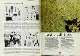 Better Homes & Gardens March 1969 Magazine Article: Page 168