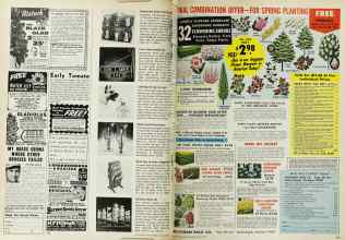 Better Homes & Gardens March 1969 Magazine Article: Page 184