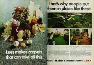Better Homes & Gardens April 1969 Magazine Article: Page 28