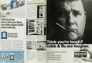 Better Homes & Gardens April 1969 Magazine Article: Page 38